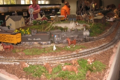 gebrauchte_gartenbahn110