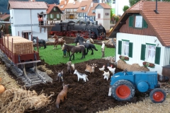gebrauchte_gartenbahn25