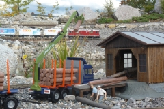 gebrauchte_gartenbahn28