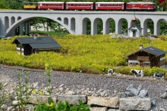 gebrauchte_gartenbahn33