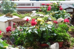 gebrauchte_gartenbahn49