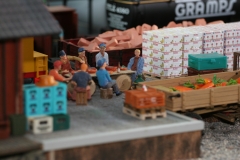 gebrauchte_gartenbahn56