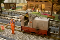 gebrauchte_gartenbahn6
