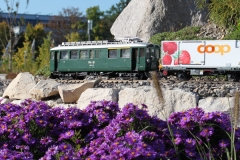 gebrauchte_gartenbahn63-e1521743771407