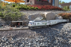 gebrauchte_gartenbahn66
