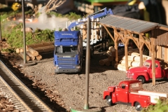 gebrauchte_gartenbahn70